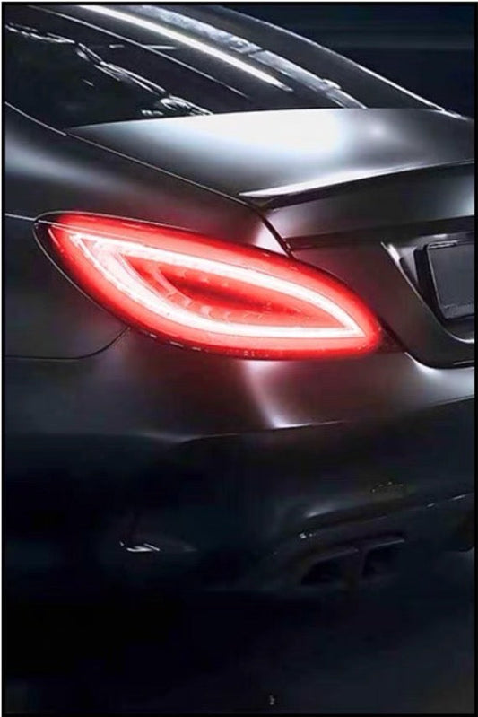 CLS Taillight Decor Hanging Painting